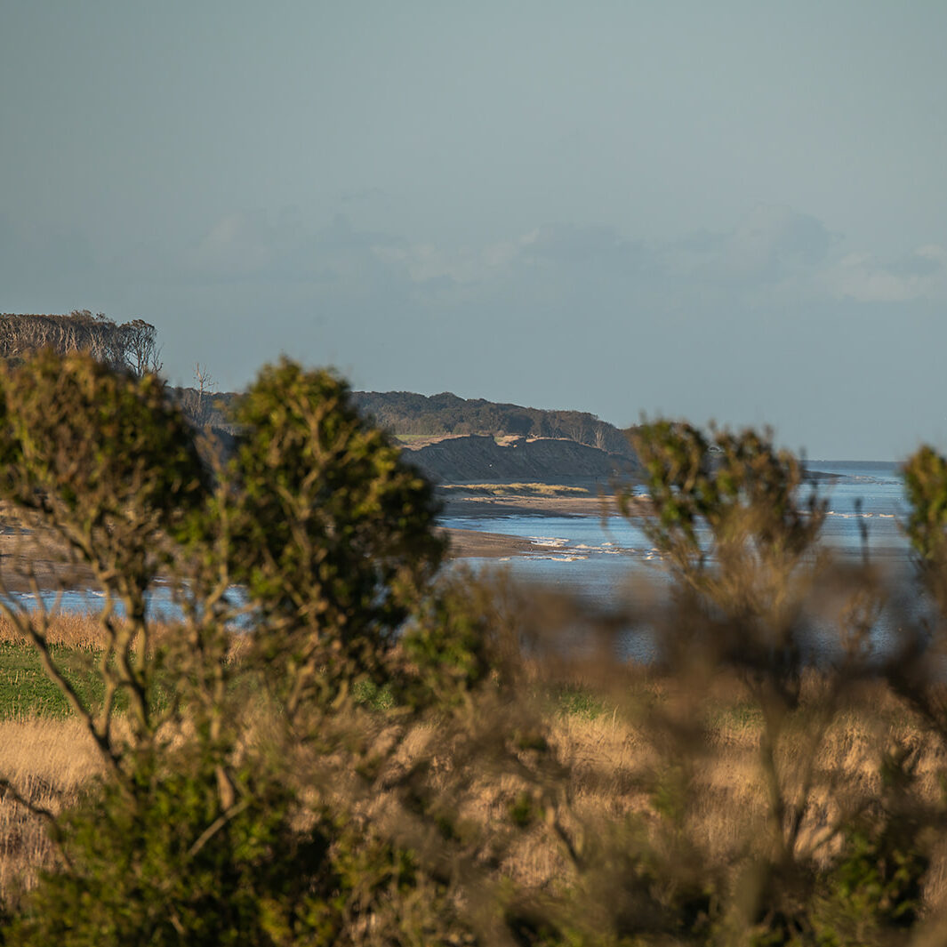 View to Covehithe