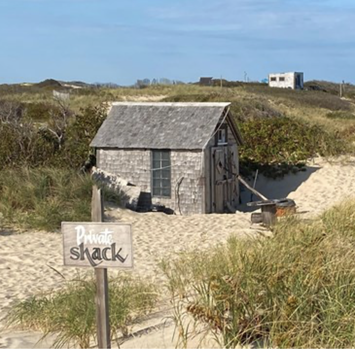 Dune hut