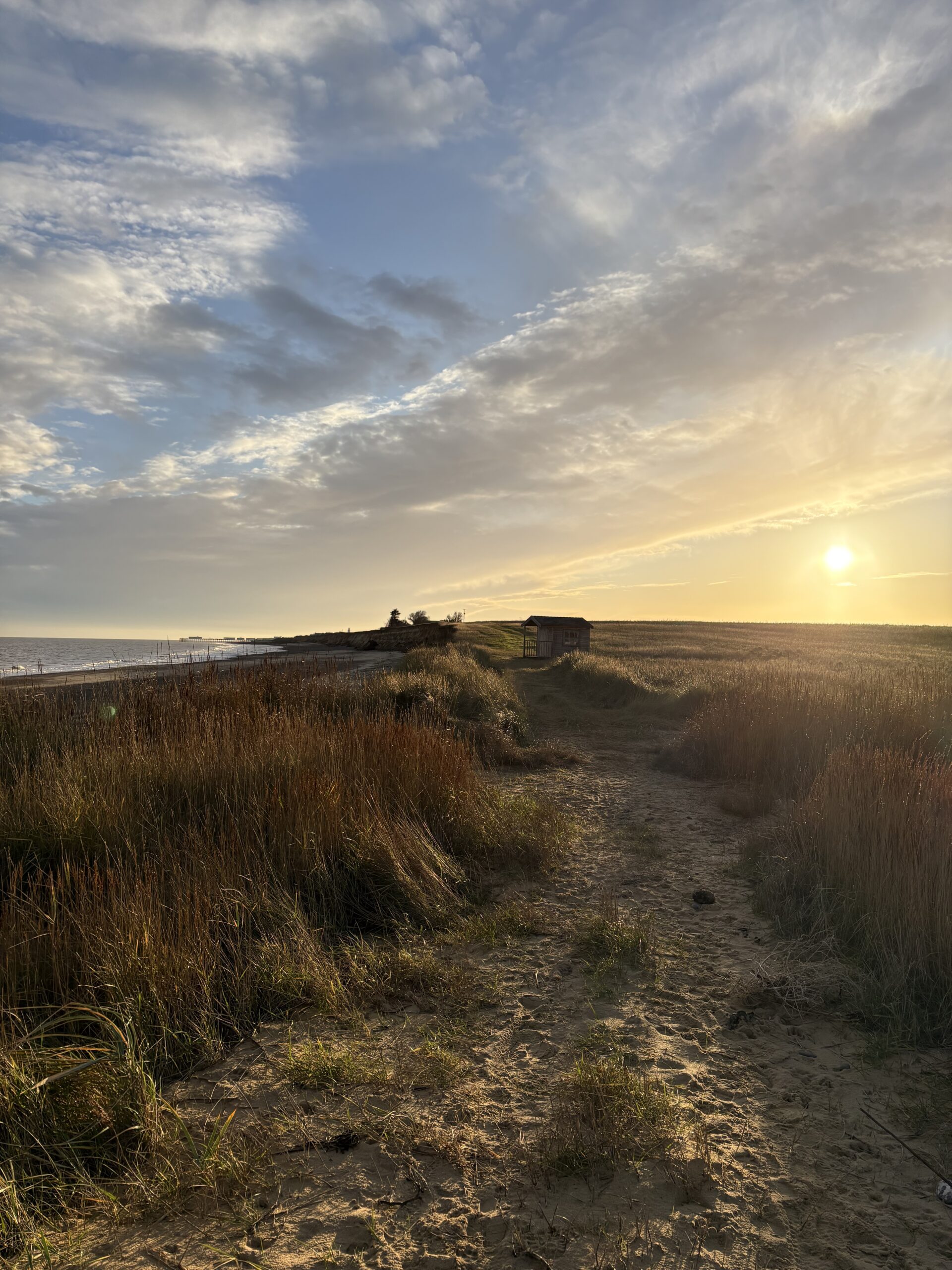 Dune Hut